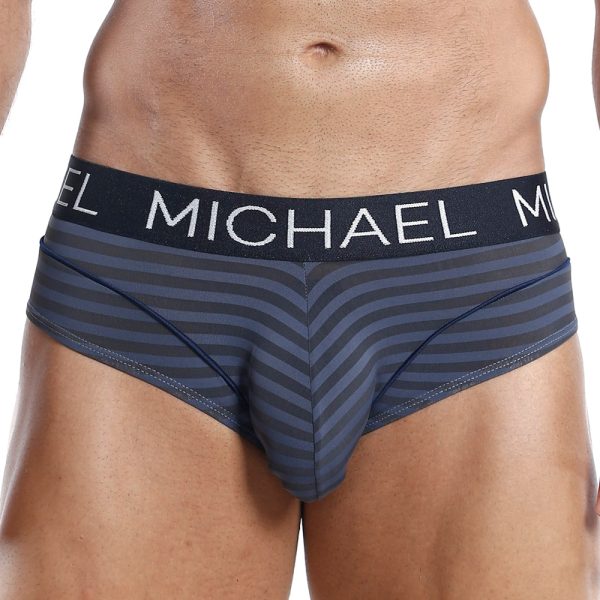 Michael MLH010 Brief Online
